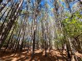 15 Acres Cypress Chapel Rd - Photo 22