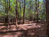 15 Acres Cypress Chapel Rd - Photo 26