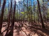 15 Acres Cypress Chapel Rd - Photo 28