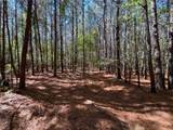 15 Acres Cypress Chapel Rd - Photo 31