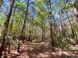 15 Acres Cypress Chapel Rd - Photo 32
