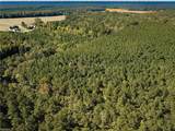 15 Acres Cypress Chapel Rd - Photo 5