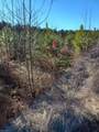 Lot 9 Saw Mill Ln - Photo 5