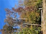 2425 Jolly Pond Rd - Photo 14