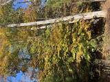 2425 Jolly Pond Rd - Photo 9