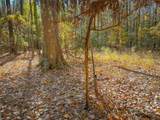 200+AC Buzzard Point (Off Of) Rd - Photo 18