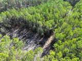 200+AC Buzzard Point (Off Of) Rd - Photo 21