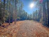 200+AC Buzzard Point (Off Of) Rd - Photo 22