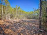 200+AC Buzzard Point (Off Of) Rd - Photo 23