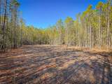 200+AC Buzzard Point (Off Of) Rd - Photo 24