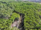 200+AC Buzzard Point (Off Of) Rd - Photo 25