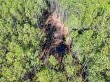 200+AC Buzzard Point (Off Of) Rd - Photo 27