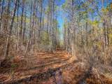 200+AC Buzzard Point (Off Of) Rd - Photo 29
