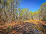 200+AC Buzzard Point (Off Of) Rd - Photo 31