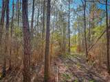 200+AC Buzzard Point (Off Of) Rd - Photo 33