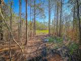 200+AC Buzzard Point (Off Of) Rd - Photo 34