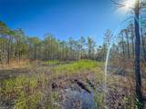 200+AC Buzzard Point (Off Of) Rd - Photo 36