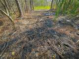 200+AC Buzzard Point (Off Of) Rd - Photo 37