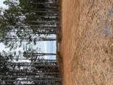 5 Ac Ivor Rd - Photo 10