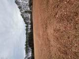 5 Ac Ivor Rd - Photo 7