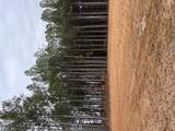 5 Ac Ivor Rd - Photo 9
