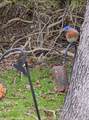 9378 Robins Neck Rd - Photo 18
