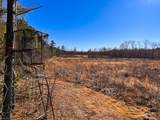 107ac Taylors Mill Rd - Photo 16