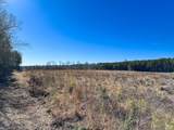107ac Taylors Mill Rd - Photo 22