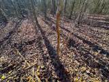 107ac Taylors Mill Rd - Photo 32