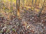 107ac Taylors Mill Rd - Photo 38