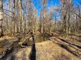 107ac Taylors Mill Rd - Photo 43
