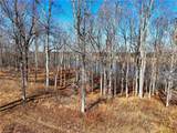3.43AC Boxwood Shores Dr - Photo 16