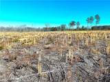 31.5ac Courthouse Rd - Photo 10