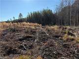 31.5ac Courthouse Rd - Photo 16