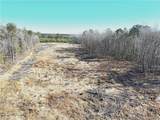 31.5ac Courthouse Rd - Photo 17
