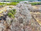 31.5ac Courthouse Rd - Photo 19