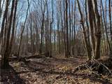 31.5ac Courthouse Rd - Photo 24