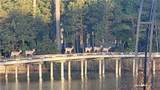 LOT 53 Heron Pointe Dr - Photo 17