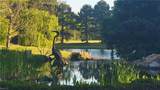 LOT 53 Heron Pointe Dr - Photo 2