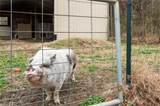 10095 Ivor Rd - Photo 41