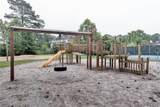 203 Winterberry Ln - Photo 48