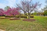 1105 Timber Neck Mall - Photo 46