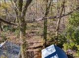 2128 Laskin Rd - Photo 9