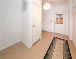 19 Kelly St - Photo 34