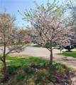1901 Shady Cove Ct - Photo 37