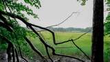 1350 Moyer Rd - Photo 1