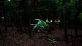 1350 Moyer Rd - Photo 21