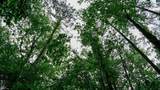 1350 Moyer Rd - Photo 7