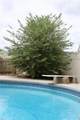 4528 Davids Mill Dr - Photo 35