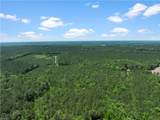13617 Jerusalem Plank Rd - Photo 8